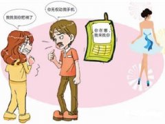 民和寻人公司就单身女孩失踪原因总结